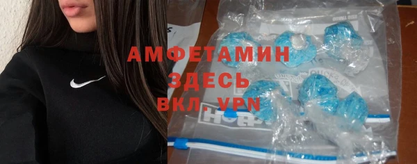 ПСИЛОЦИБИНОВЫЕ ГРИБЫ Вязники