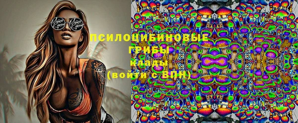 ПСИЛОЦИБИНОВЫЕ ГРИБЫ Вязники