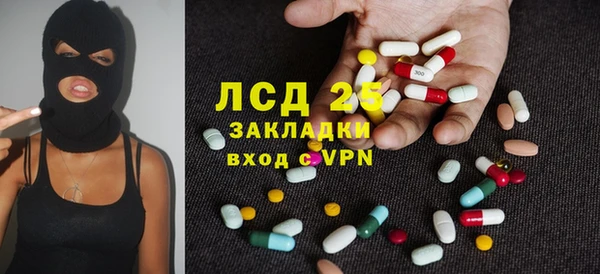 ПСИЛОЦИБИНОВЫЕ ГРИБЫ Вязники
