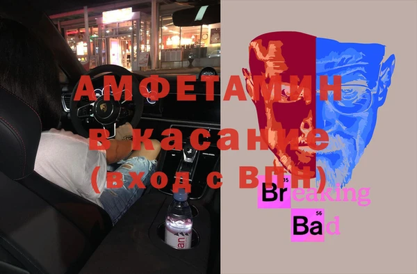 ПСИЛОЦИБИНОВЫЕ ГРИБЫ Вязники