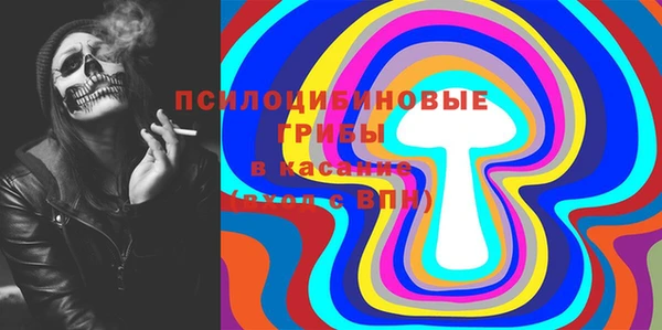 ПСИЛОЦИБИНОВЫЕ ГРИБЫ Вязники