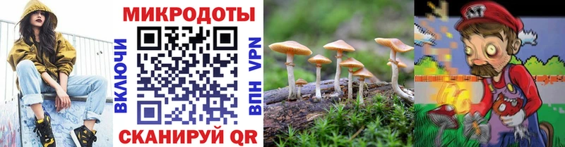 Псилоцибиновые грибы прущие грибы  купить наркотик  Петухово 